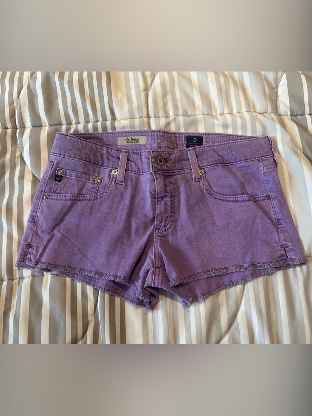 AG Adriano Goldschmied Purple Denim Jean Shorts